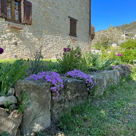 Agriturismo La Casetta - Ospitalita Rurale Familiare Montese المظهر الخارجي الصورة