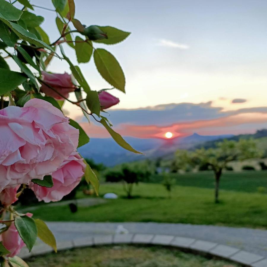 Agriturismo La Casetta - Ospitalita Rurale Familiare Montese المظهر الخارجي الصورة