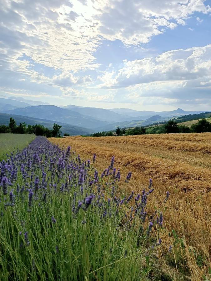 Agriturismo La Casetta - Ospitalita Rurale Familiare Montese المظهر الخارجي الصورة