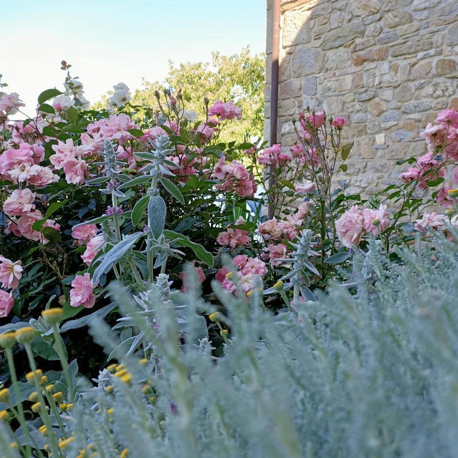 Agriturismo La Casetta - Ospitalita Rurale Familiare Montese المظهر الخارجي الصورة