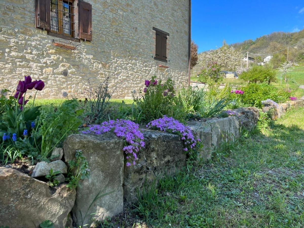 Agriturismo La Casetta - Ospitalita Rurale Familiare Montese المظهر الخارجي الصورة